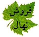 تولید و فروش نهال به اصفهان